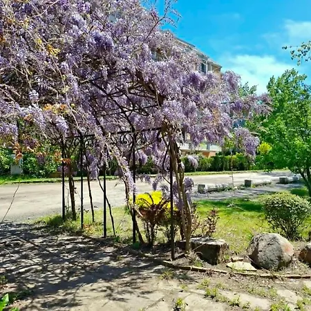 Apartmán Afrodita Atelier Sluneční pobřeží